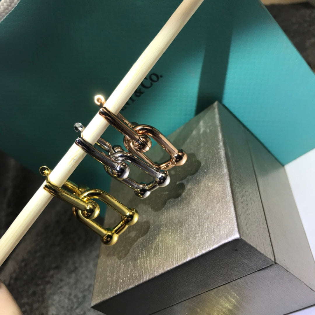 TIFFANY HARDWARE DROP EARRINGS DOUBLE LINK