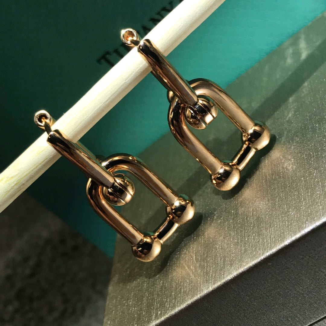 TIFFANY HARDWARE DROP EARRINGS DOUBLE LINK