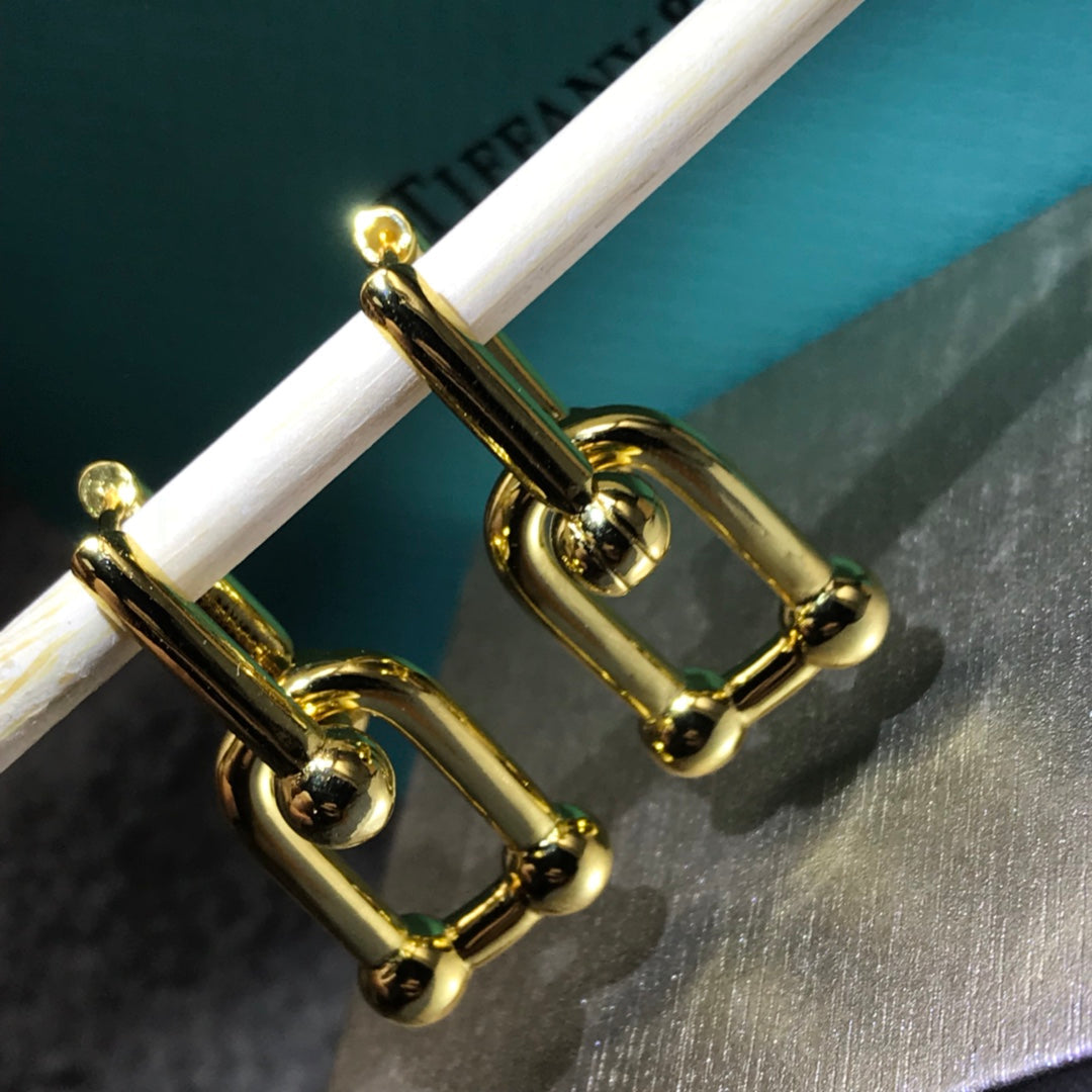 TIFFANY HARDWARE DROP EARRINGS DOUBLE LINK