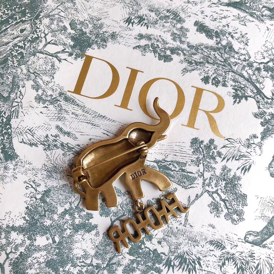 DIOR CD Brooch 03