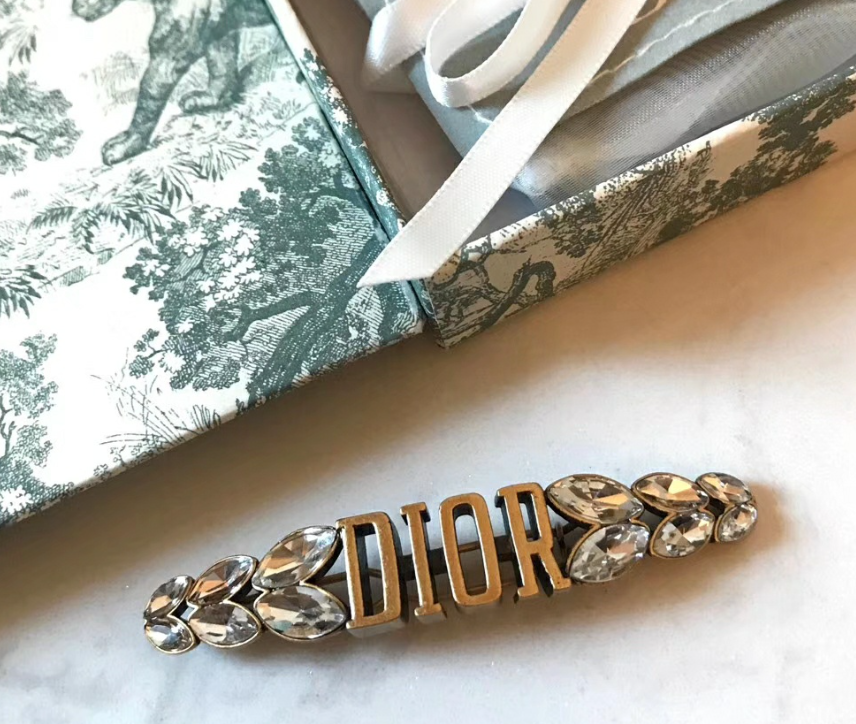 DIOR CD Brooch 01